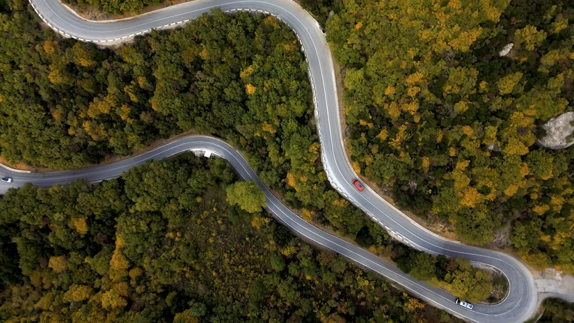 Cinematische Drohnenaufnahme einer kurvigen Straße im Wald von ArsMotion – Spektakuläre Luftbilder für professionelle Videoproduktionen